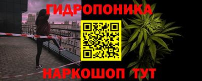 амф Анжеро-Судженск