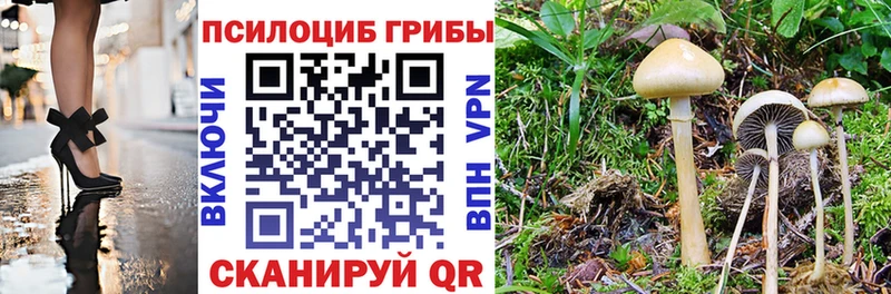 ссылка на мегу онион  Альметьевск  Галлюциногенные грибы Psilocybe 