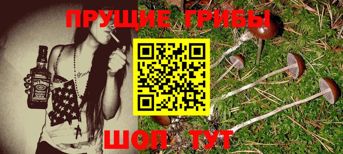 Галлюциногенные грибы MAGIC MUSHROOMS  Галлюциногенные грибы Cubensis  Альметьевск  Вход с VPN 