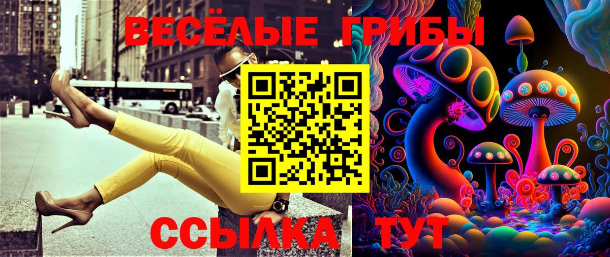 Галлюциногенные грибы Psilocybine cubensis Альметьевск